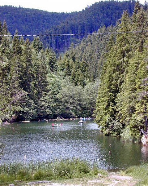 DSCN5603 (web).jpg